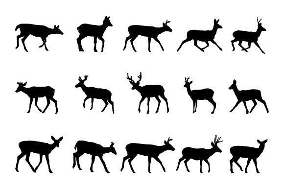 Download Deer SVG Graphic Design - Graphic Collection
