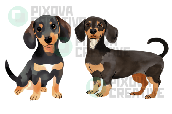 Download Sausage Dogs 2 Graphic Bundle PNG - Graphic Collection