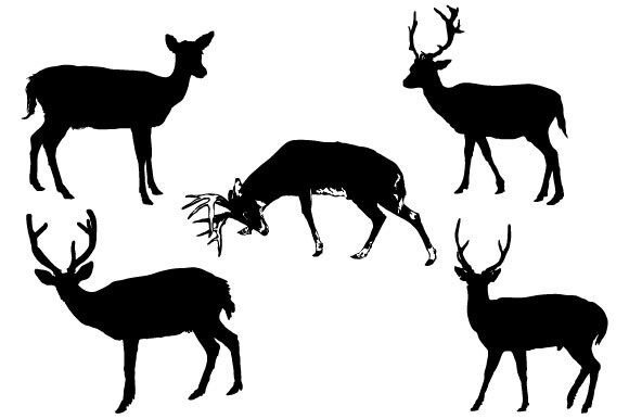 Download Deer Graphic Design SVG - Graphic Collection