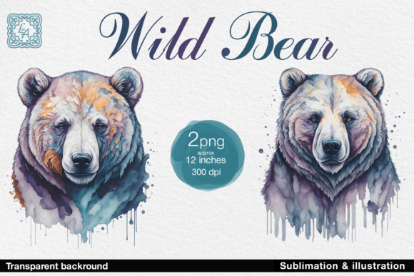 Download Wild Bear Illustration 2 PNG - Bear illustration Collection