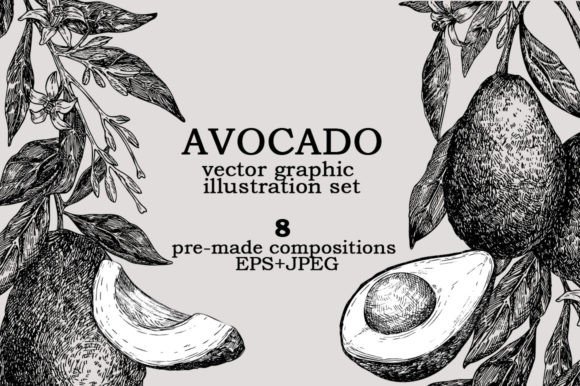 Download Avocado Vector Graphic Illustration Set - Graphic Collection