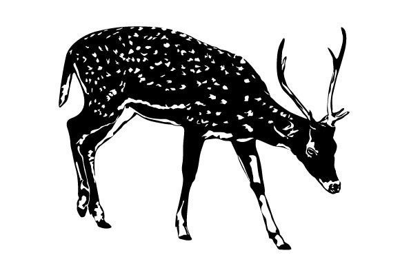 Download Deer Graphic - Graphic Collection