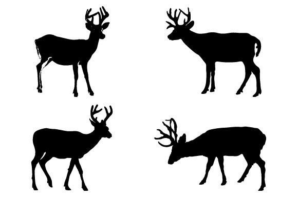 Download Key Deer SVG Graphic - Graphic Collection
