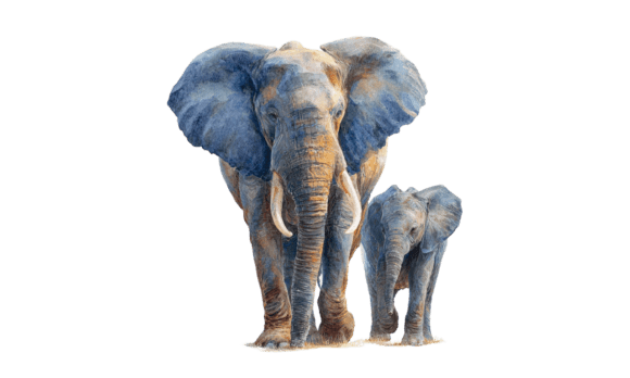 Download Elephant Mom &amp; Calf Watercolor Art - Calf Collection