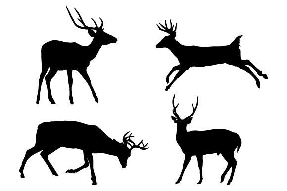 Download Deer Vector Graphic Design - Graphic Collection