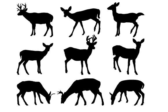 Download Key Deer Vector Graphic Design - Graphic Collection