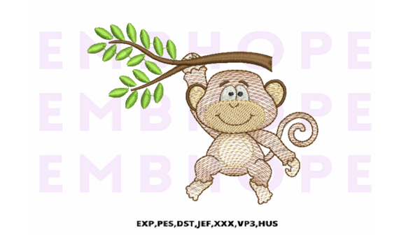 Download Jungle Animal Monkey - Animal Collection