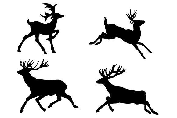 Download Deer Graphic Vector Design - Graphic Collection