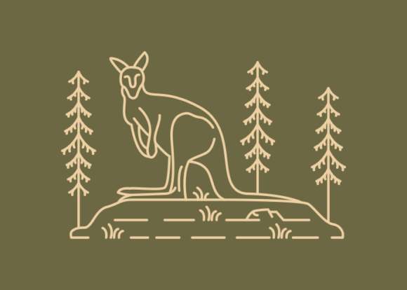 Download Wild Kangaroo Australian Animal - Animal Collection