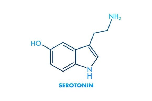 Download Vector Graphic. Serotonin Editable Strok - Graphic Collection