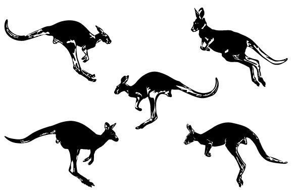 Download Kangaroo Vector Graphic Design - Graphic Collection