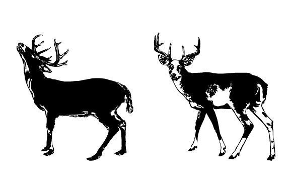 Download Deer Animal SVG Graphic Design - Animal Collection