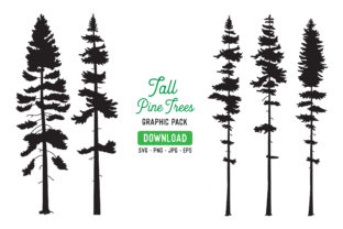 Download Tall Pine Tree Vector Graphic Bundle - Graphic Collection