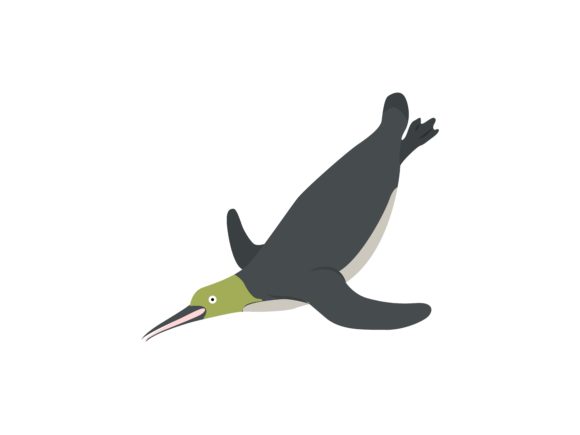 Download Penguin Skate Animal - Animal Collection
